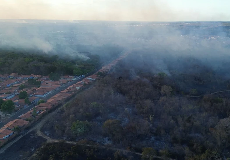 Incêndio na Embrapa atinge 10 hectares, mata animais silvestres e destrói pesquisas de até 30 anos
