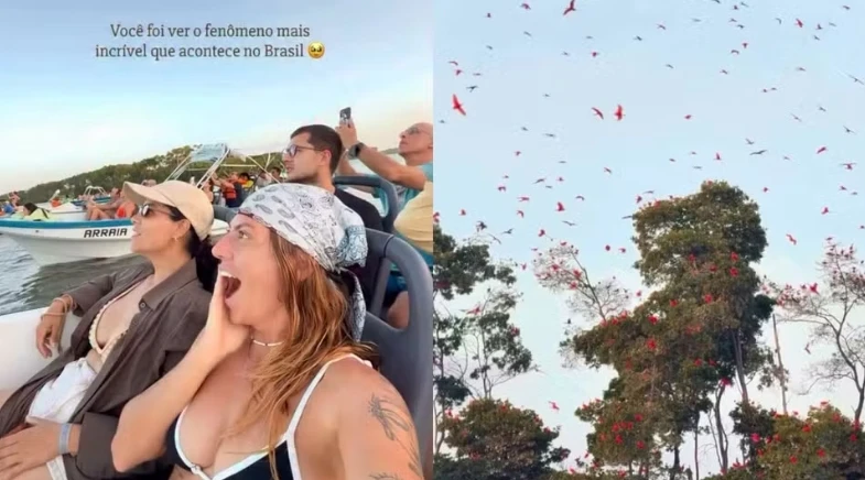 Influenciadora viraliza ao registrar revoada de guarás no Delta do Parnaíba
