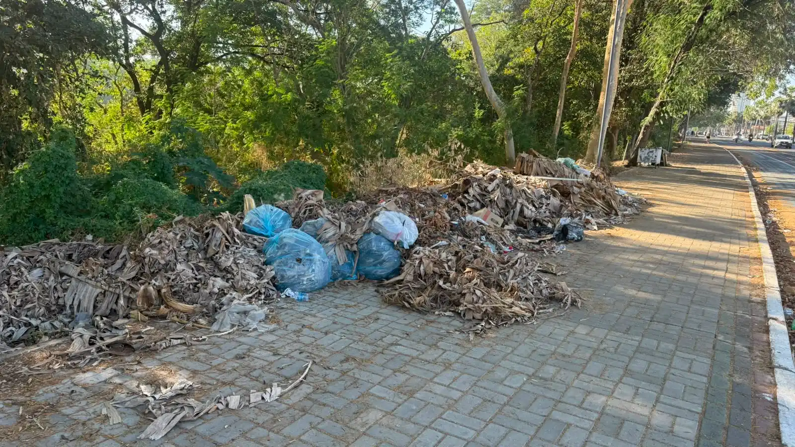 Lixo e mau cheiro incomodam quem pratica atividades físicas na Avenida Marechal Castelo Branco