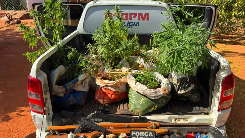 PM apreende 77 mudas de maconha, armas e motocicleta com chassi suprimido em São Raimundo Nonato